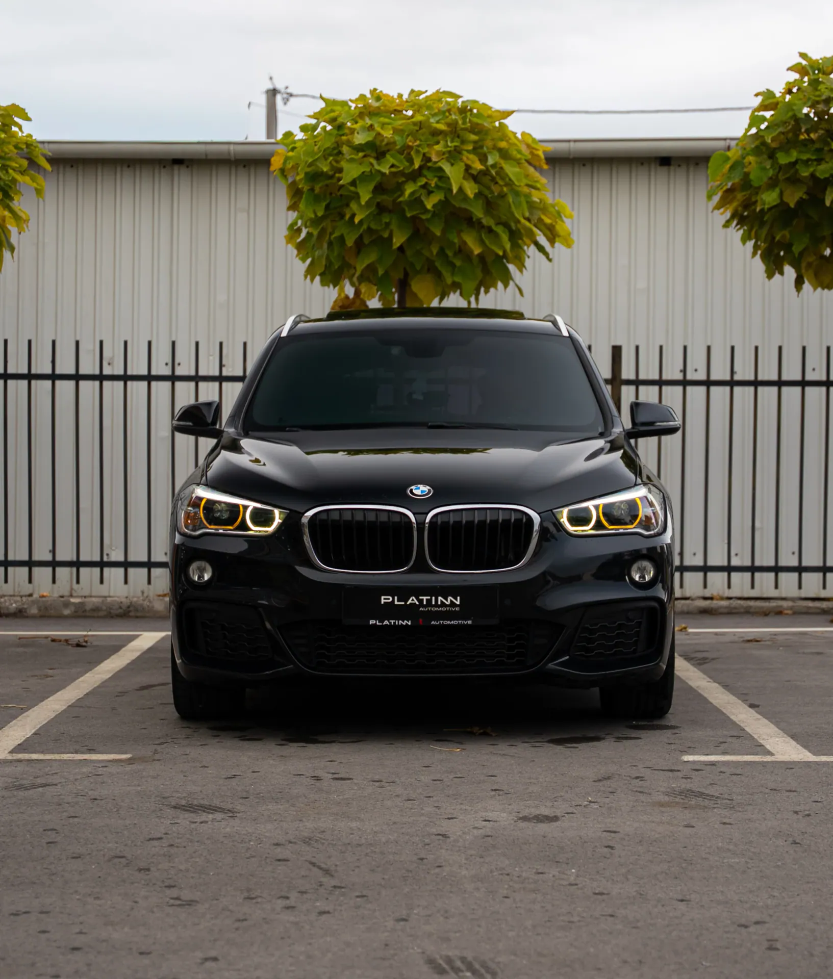 BMW X1 (F48) 20d M Sport — fotografia 1 nga 24